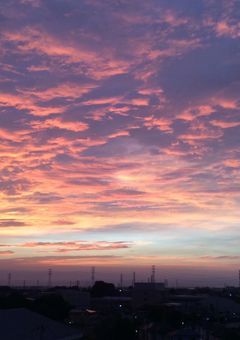 とりもどした仲間と恋