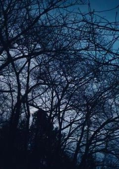  お話 トーク部屋