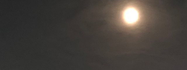 藍茱/らしゅ❄️💫🌙@コラボ募集中さんの壁紙画像