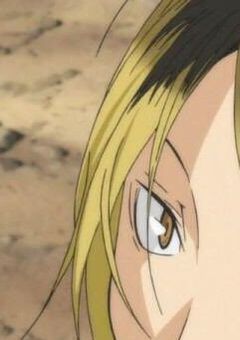 音駒の元気な訳ありちゃん