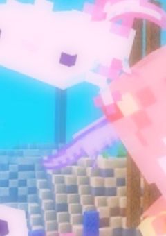 人気なペアは … ??