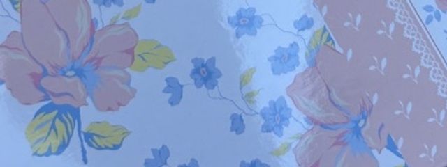 みーちゃんさんの壁紙画像