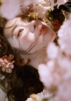 💐floral harmony💐