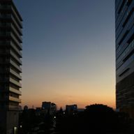 ももさんのアイコン画像