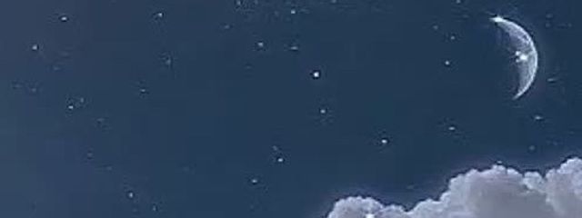 美 羽 ໒꒱さんの壁紙画像