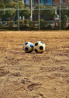 白い光の小さな命