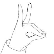 犬愛好家　＠フォロバ100さんのアイコン画像