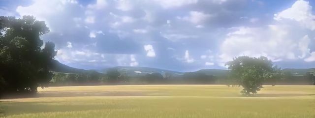 采瀬さんの壁紙画像