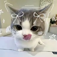 采瀬さんのアイコン画像