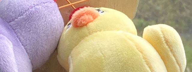 #　廊下長いねさんの壁紙画像