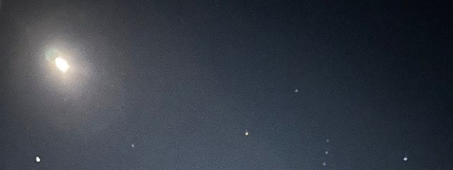 白いちぃず #あおとペア画中@半年待ってて！さんの壁紙画像