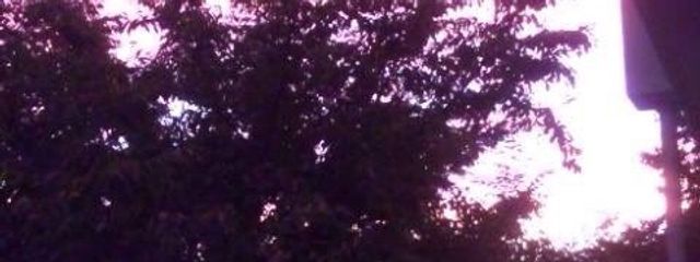 不見木 叫さんの壁紙画像