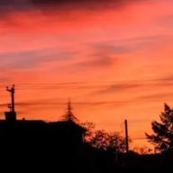 らーちゃん(リア友垢)さんのアイコン画像