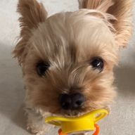 ちゃみの終わり小説さんのアイコン画像