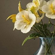 待宵さんのアイコン画像