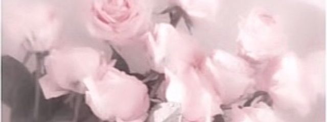 ꒦꒷𝕐𝕦𝕣𝕚𝕜𝕒.🎀💭ྀིさんの壁紙画像