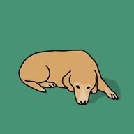 Mariaさんのアイコン画像