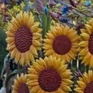 かぶつさんのアイコン画像