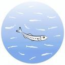 しらぶん
