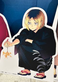 【ハイキュー！！(シリーズ化作品)】ただの幼馴染だけど？(研磨ver)