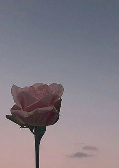 【オリジナル】偽りの仮面