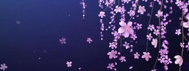 kohaku🎧💫さんの壁紙画像