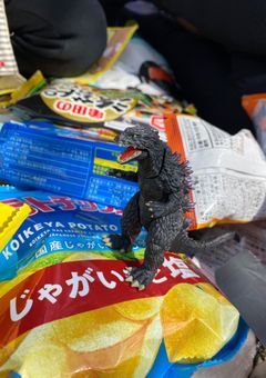 🌸設定とかいろいろです🌼