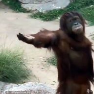 りふさんのアイコン画像