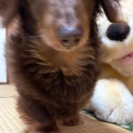 てなさんのアイコン画像
