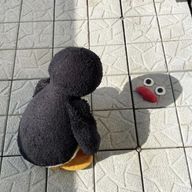 はるかさんのアイコン画像