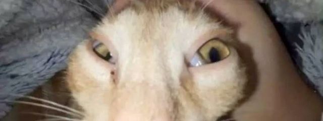 ._.さんの壁紙画像