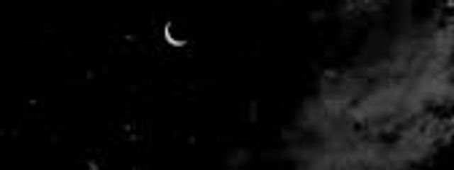 𝓡𝓪𝓵: ꔫさんの壁紙画像