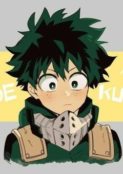 緑谷出久には、ブラコンな姉がいるみたいで…(^^;