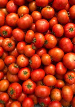 そーろん語り部屋