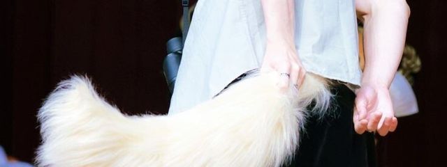 永遠_Towa🦊さんの壁紙画像