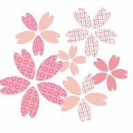 popoさんのアイコン画像