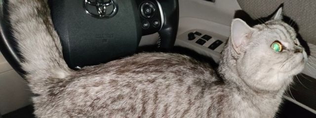 りず︎💕🏹さんの壁紙画像