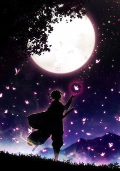 武装探偵社の胡蝶さん