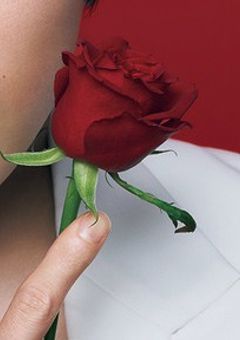 大森元貴×宮舘涼太　🔞