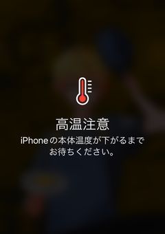 #枯れるまで傍にいてください。