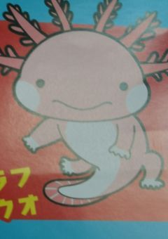 夜桜水狐様（間違えて居たらすみません！）