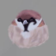 𝓽𝓾𝓷𝓪さんのアイコン画像