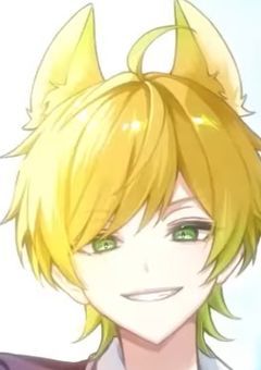 るりちゃ専用部屋