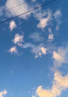 お休み ください
