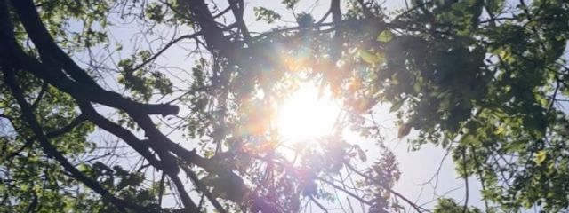 音羽#unique jewelry stoneさんの壁紙画像