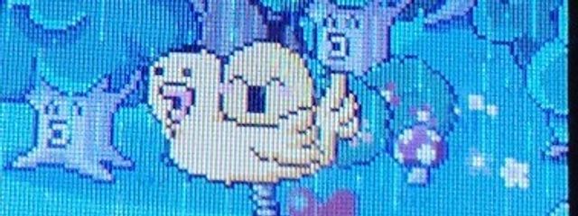  ぽんず  Ⓒさんの壁紙画像