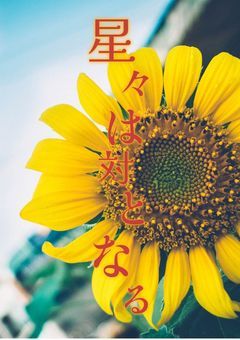 星々は対となる