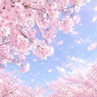 桜葉　しおさんのアイコン画像