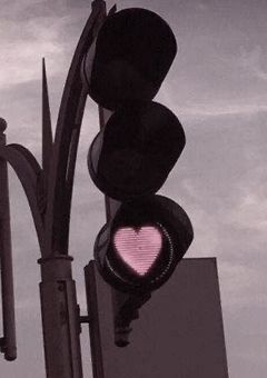 男子校生徒会vs.女子校生徒会