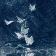 あ い りさんのアイコン画像